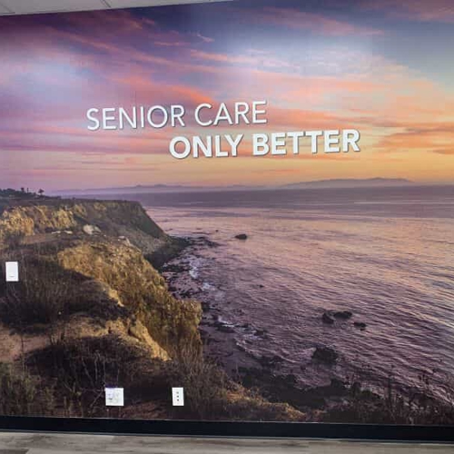 Window & Wall Graphics